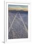 USA, Oregon, Alvord Desert. Tire tracks on precipitated mineral salt playa.-Jaynes Gallery-Framed Photographic Print