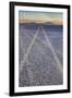 USA, Oregon, Alvord Desert. Tire tracks on precipitated mineral salt playa.-Jaynes Gallery-Framed Photographic Print