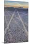 USA, Oregon, Alvord Desert. Tire tracks on precipitated mineral salt playa.-Jaynes Gallery-Mounted Photographic Print
