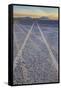 USA, Oregon, Alvord Desert. Tire tracks on precipitated mineral salt playa.-Jaynes Gallery-Framed Stretched Canvas