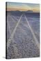 USA, Oregon, Alvord Desert. Tire tracks on precipitated mineral salt playa.-Jaynes Gallery-Stretched Canvas