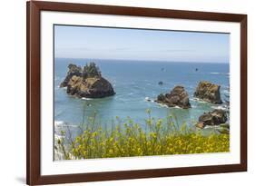 USA, Oregon. Arch Rock Lookout on Pacific Ocean shoreline.-Jaynes Gallery-Framed Photographic Print