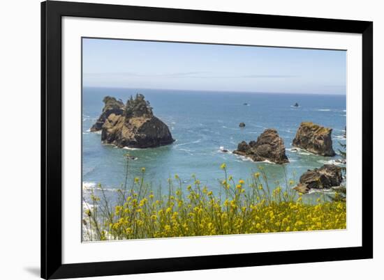 USA, Oregon. Arch Rock Lookout on Pacific Ocean shoreline.-Jaynes Gallery-Framed Photographic Print