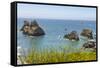 USA, Oregon. Arch Rock Lookout on Pacific Ocean shoreline.-Jaynes Gallery-Framed Stretched Canvas