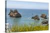 USA, Oregon. Arch Rock Lookout on Pacific Ocean shoreline.-Jaynes Gallery-Stretched Canvas