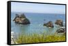 USA, Oregon. Arch Rock Lookout on Pacific Ocean shoreline.-Jaynes Gallery-Framed Stretched Canvas