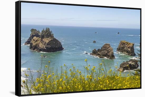 USA, Oregon. Arch Rock Lookout on Pacific Ocean shoreline.-Jaynes Gallery-Framed Stretched Canvas