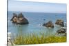 USA, Oregon. Arch Rock Lookout on Pacific Ocean shoreline.-Jaynes Gallery-Stretched Canvas