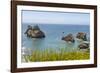 USA, Oregon. Arch Rock Lookout on Pacific Ocean shoreline.-Jaynes Gallery-Framed Photographic Print