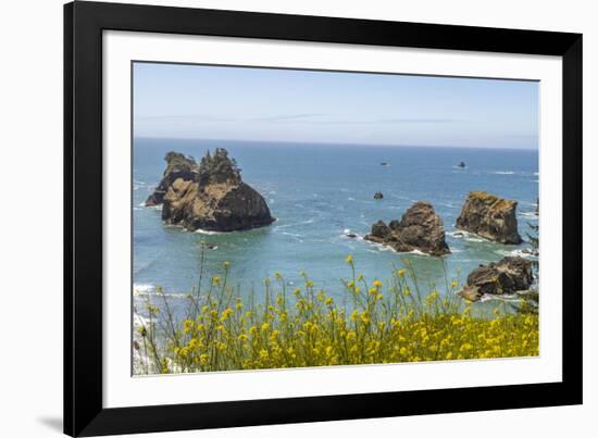 USA, Oregon. Arch Rock Lookout on Pacific Ocean shoreline.-Jaynes Gallery-Framed Photographic Print