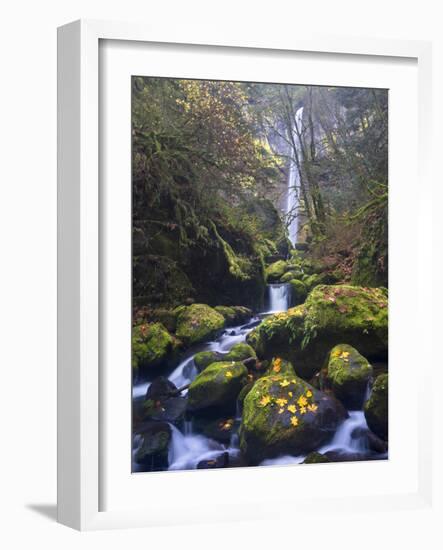 USA, Oregon. Autumn view of McCord Creek flowing below Elowah Falls in the Columbia River Gorge.-Gary Luhm-Framed Photographic Print