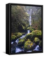 USA, Oregon. Autumn view of McCord Creek flowing below Elowah Falls in the Columbia River Gorge.-Gary Luhm-Framed Stretched Canvas