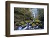USA, Oregon. Autumn view of McCord Creek flowing below Elowah Falls in the Columbia River Gorge.-Gary Luhm-Framed Photographic Print