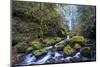 USA, Oregon. Autumn view of McCord Creek flowing below Elowah Falls in the Columbia River Gorge.-Gary Luhm-Mounted Photographic Print