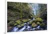 USA, Oregon. Autumn view of McCord Creek flowing below Elowah Falls in the Columbia River Gorge.-Gary Luhm-Framed Photographic Print