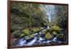 USA, Oregon. Autumn view of McCord Creek flowing below Elowah Falls in the Columbia River Gorge.-Gary Luhm-Framed Photographic Print