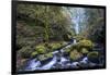 USA, Oregon. Autumn view of McCord Creek flowing below Elowah Falls in the Columbia River Gorge.-Gary Luhm-Framed Photographic Print