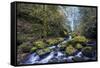 USA, Oregon. Autumn view of McCord Creek flowing below Elowah Falls in the Columbia River Gorge.-Gary Luhm-Framed Stretched Canvas