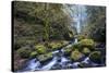 USA, Oregon. Autumn view of McCord Creek flowing below Elowah Falls in the Columbia River Gorge.-Gary Luhm-Stretched Canvas