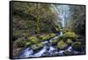 USA, Oregon. Autumn view of McCord Creek flowing below Elowah Falls in the Columbia River Gorge.-Gary Luhm-Framed Stretched Canvas