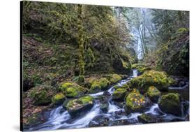 USA, Oregon. Autumn view of McCord Creek flowing below Elowah Falls in the Columbia River Gorge.-Gary Luhm-Stretched Canvas