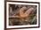 USA, Oregon, Bandon Beach. Close-up of sea star partially exposed by low tide.-Jaynes Gallery-Framed Photographic Print