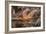 USA, Oregon, Bandon Beach. Close-up of sea star partially exposed by low tide.-Jaynes Gallery-Framed Photographic Print