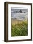 USA, Oregon, Bandon Beach. Sea stack on ocean shore and blooming flowers.-Jaynes Gallery-Framed Photographic Print