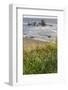 USA, Oregon, Bandon Beach. Sea stack on ocean shore and blooming flowers.-Jaynes Gallery-Framed Photographic Print