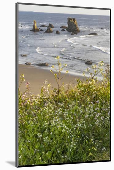 USA, Oregon, Bandon Beach. Sea stack on ocean shore and blooming flowers.-Jaynes Gallery-Mounted Photographic Print