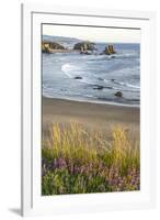 USA, Oregon, Bandon Beach. Sea stack on ocean shore and blooming flowers.-Jaynes Gallery-Framed Photographic Print