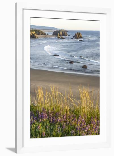 USA, Oregon, Bandon Beach. Sea stack on ocean shore and blooming flowers.-Jaynes Gallery-Framed Photographic Print