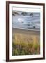 USA, Oregon, Bandon Beach. Sea stack on ocean shore and blooming flowers.-Jaynes Gallery-Framed Photographic Print