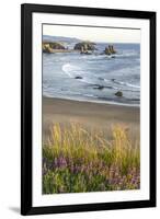 USA, Oregon, Bandon Beach. Sea stack on ocean shore and blooming flowers.-Jaynes Gallery-Framed Photographic Print