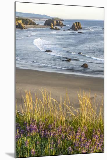USA, Oregon, Bandon Beach. Sea stack on ocean shore and blooming flowers.-Jaynes Gallery-Mounted Photographic Print