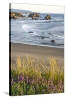 USA, Oregon, Bandon Beach. Sea stack on ocean shore and blooming flowers.-Jaynes Gallery-Stretched Canvas