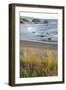 USA, Oregon, Bandon Beach. Sea stack on ocean shore and blooming flowers.-Jaynes Gallery-Framed Photographic Print