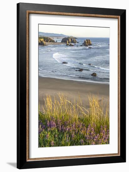 USA, Oregon, Bandon Beach. Sea stack on ocean shore and blooming flowers.-Jaynes Gallery-Framed Photographic Print