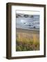 USA, Oregon, Bandon Beach. Sea stack on ocean shore and blooming flowers.-Jaynes Gallery-Framed Photographic Print