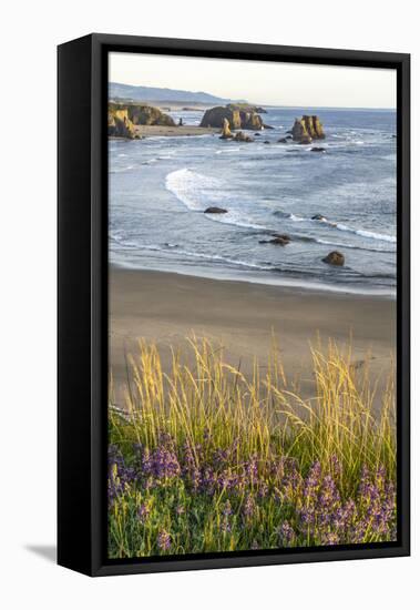 USA, Oregon, Bandon Beach. Sea stack on ocean shore and blooming flowers.-Jaynes Gallery-Framed Stretched Canvas