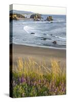 USA, Oregon, Bandon Beach. Sea stack on ocean shore and blooming flowers.-Jaynes Gallery-Stretched Canvas