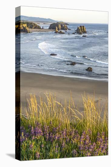 USA, Oregon, Bandon Beach. Sea stack on ocean shore and blooming flowers.-Jaynes Gallery-Stretched Canvas