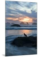 USA, Oregon, Bandon Beach. Seagull on Rock at Twilight-Jaynes Gallery-Mounted Premium Photographic Print