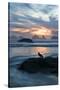USA, Oregon, Bandon Beach. Seagull on Rock at Twilight-Jaynes Gallery-Stretched Canvas