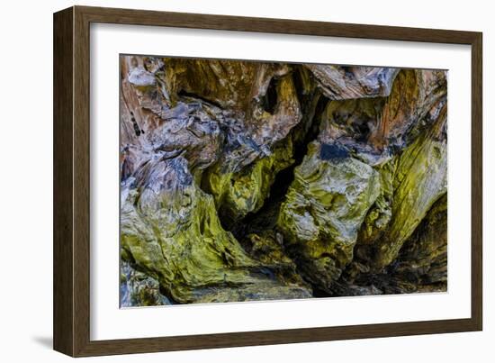 USA, Oregon, Bandon, Beach-Joe Restuccia III-Framed Photographic Print