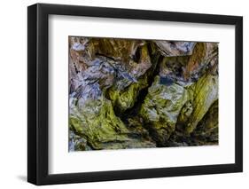 USA, Oregon, Bandon, Beach-Joe Restuccia III-Framed Photographic Print