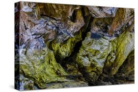 USA, Oregon, Bandon, Beach-Joe Restuccia III-Stretched Canvas