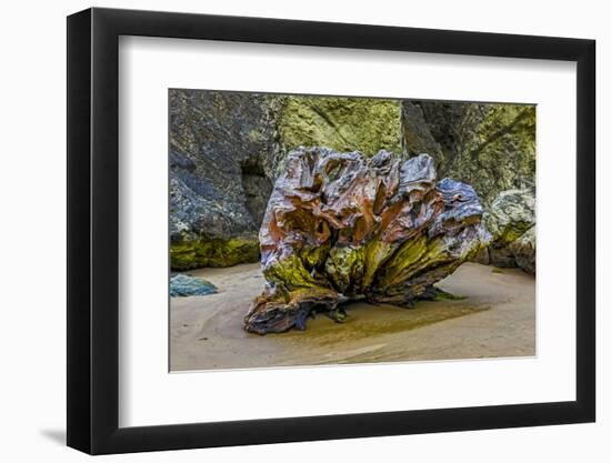 USA, Oregon, Bandon, Beach-Joe Restuccia III-Framed Photographic Print