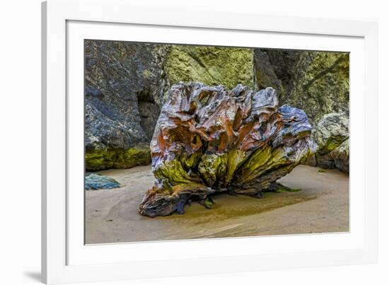 USA, Oregon, Bandon, Beach-Joe Restuccia III-Framed Photographic Print