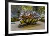 USA, Oregon, Bandon, Beach-Joe Restuccia III-Framed Photographic Print